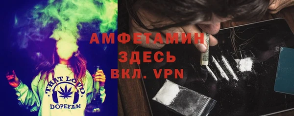 соль ск Богданович