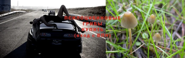 соль ск Богородицк
