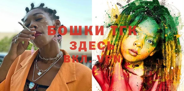 соль ск Богданович