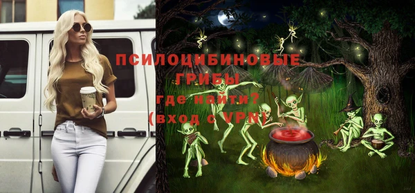 соль ск Богданович