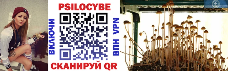 наркошоп  Невель  Псилоцибиновые грибы Magic Shrooms 